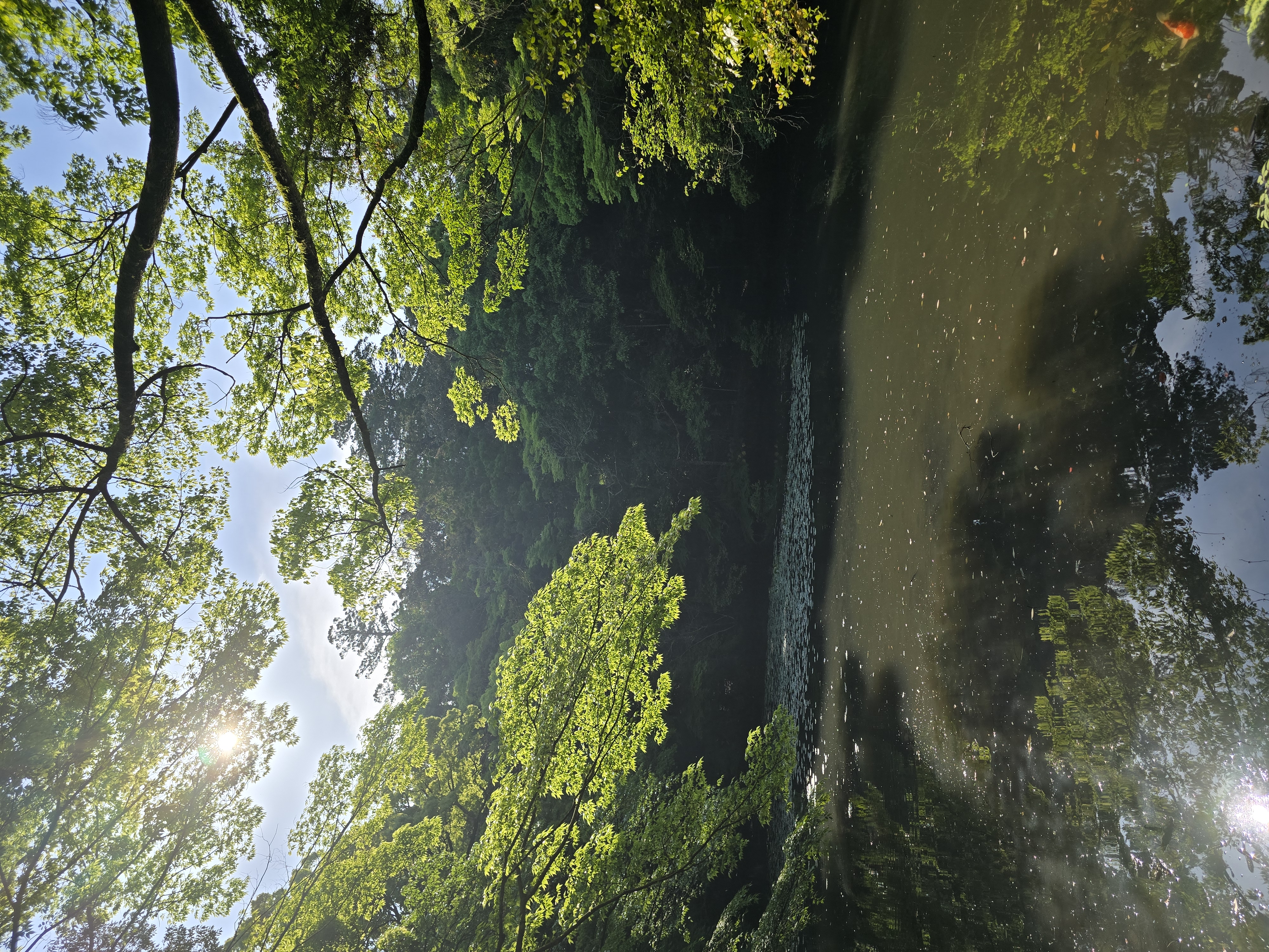 ファイル 2782-1.jpg