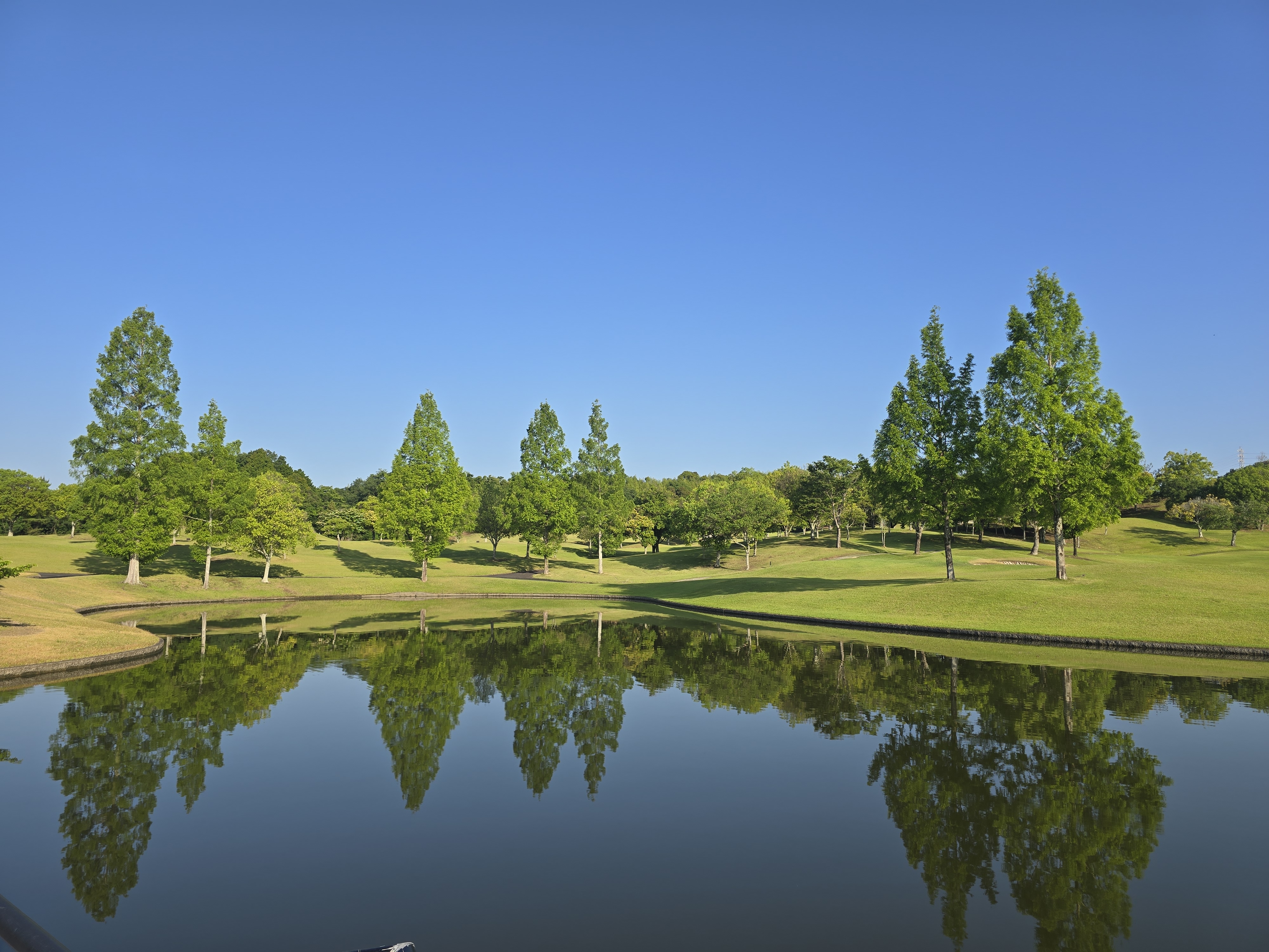 ファイル 2795-1.jpg