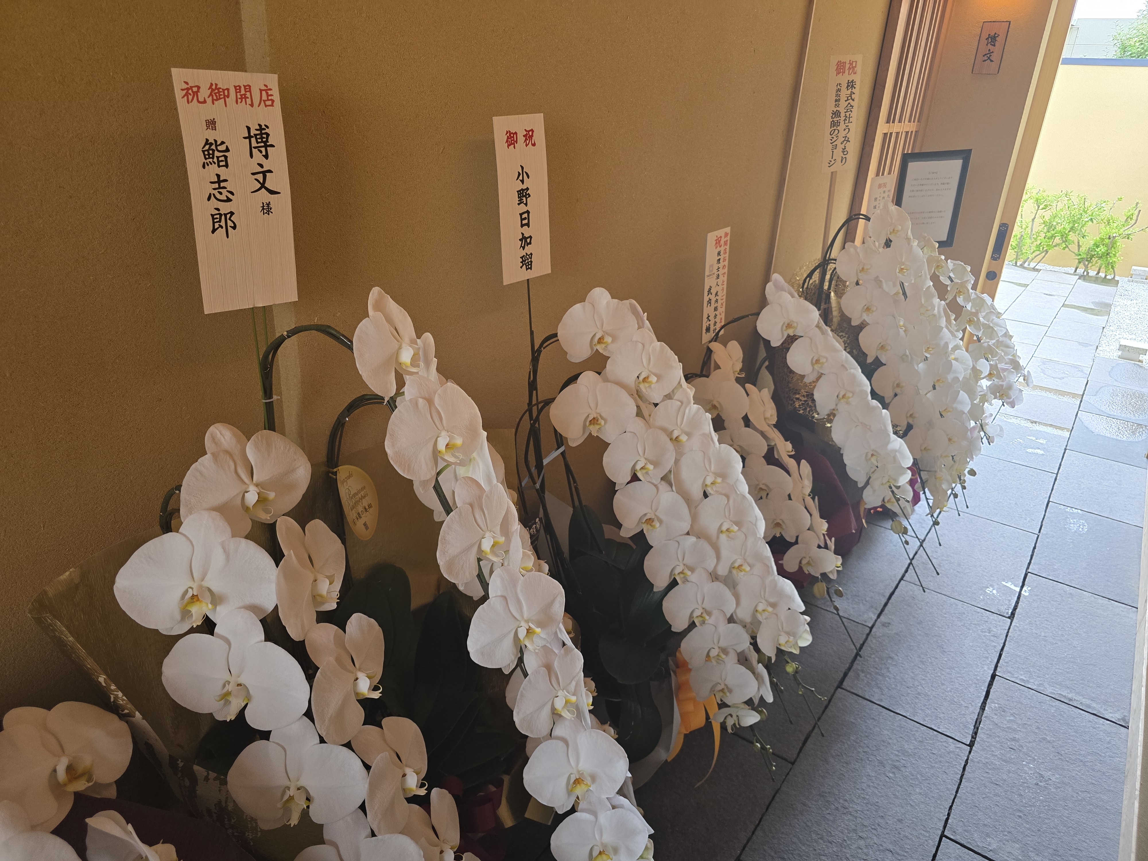 ファイル 2817-2.jpg