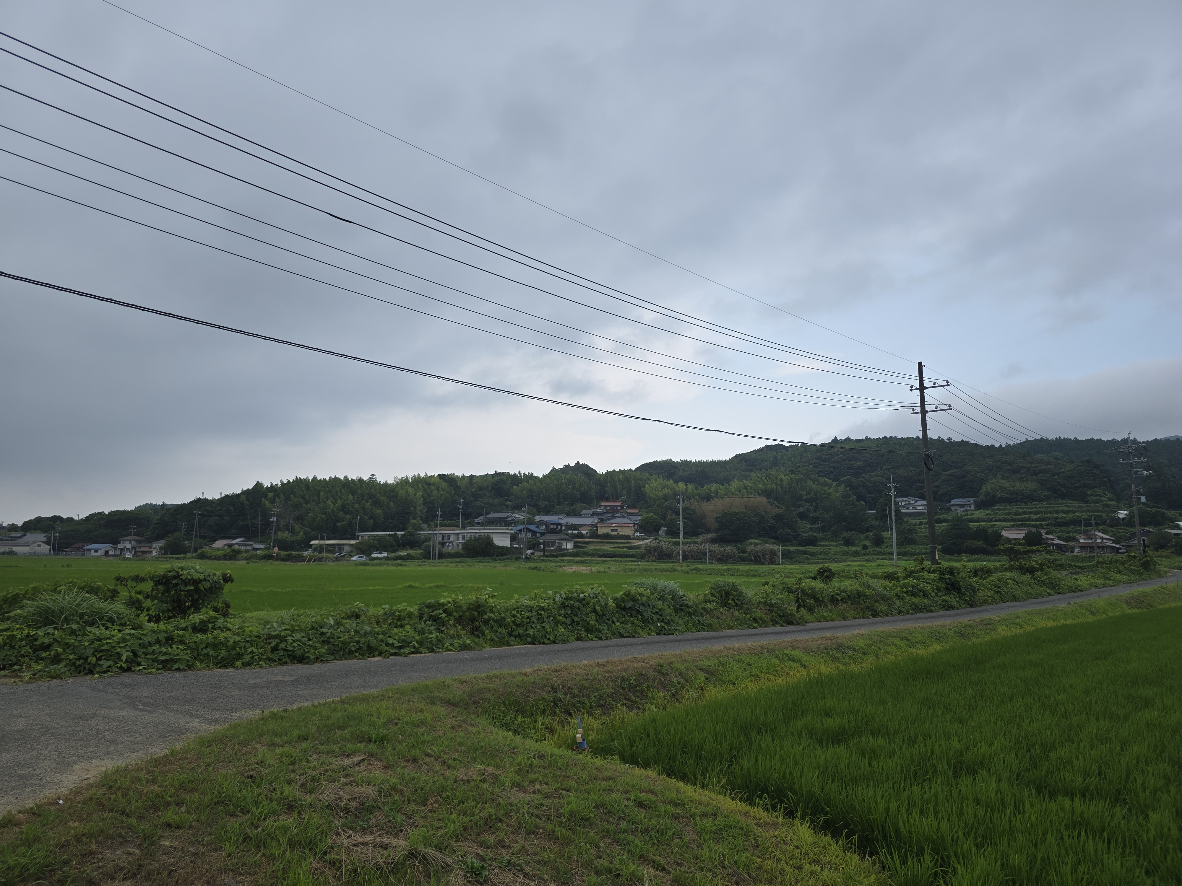 ファイル 2818-8.jpg